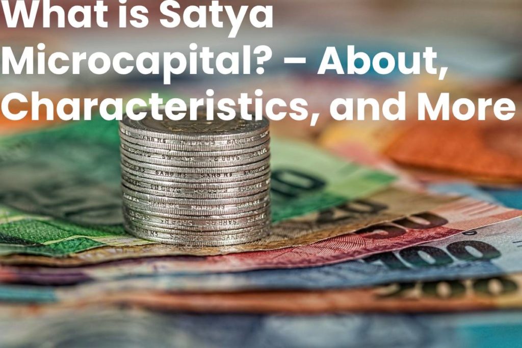 What is Satya Microcapital? – About, Characteristics, and More - 2020