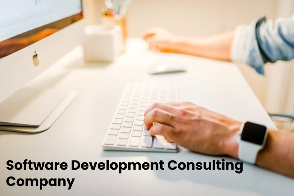 Software Development Consulting Company