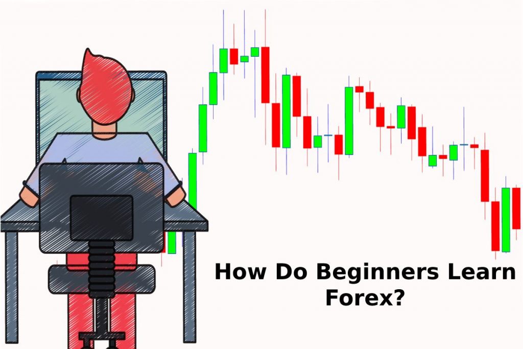 How Do Beginners Learn Forex_