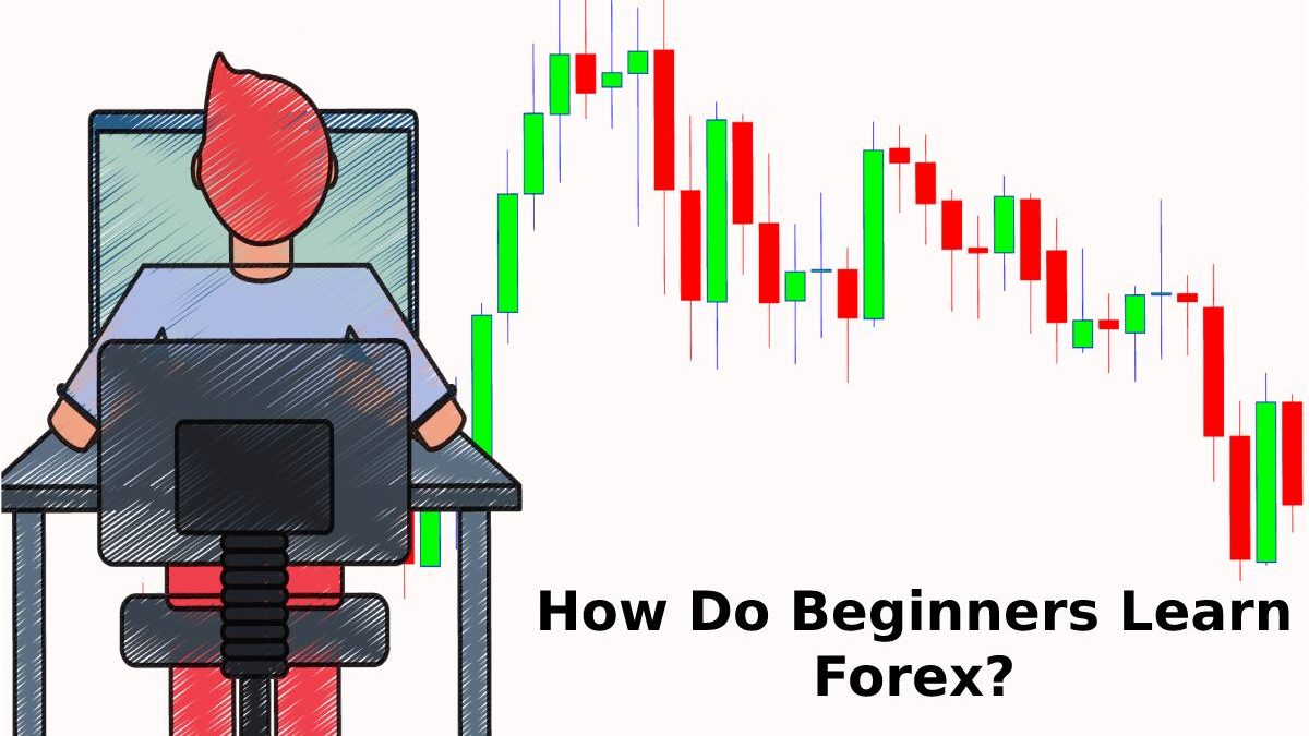 How Do Beginners Learn Forex?