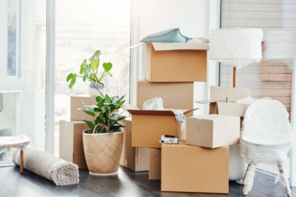 Vital Advice on Protecting your Belongings During a Move